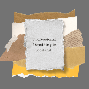 Professional Shredding Services view 1 